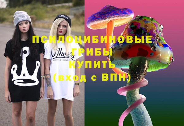 круглые Краснослободск