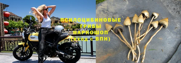 круглые Краснослободск