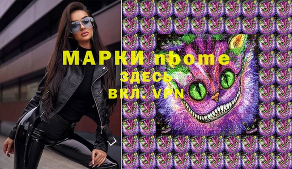 спиды Болотное
