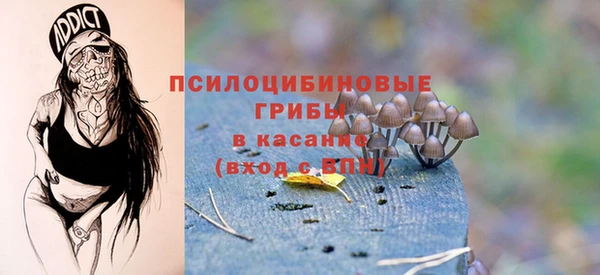 круглые Краснослободск